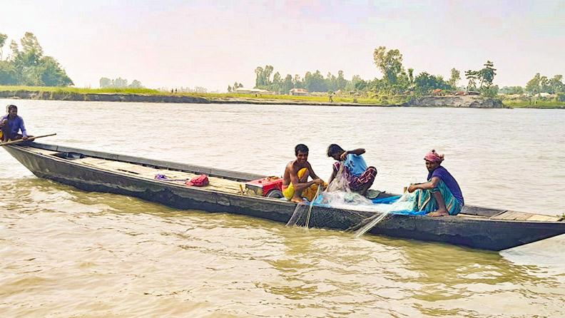 পদ্মা-যমুনায় মিলছে না ইলিশ