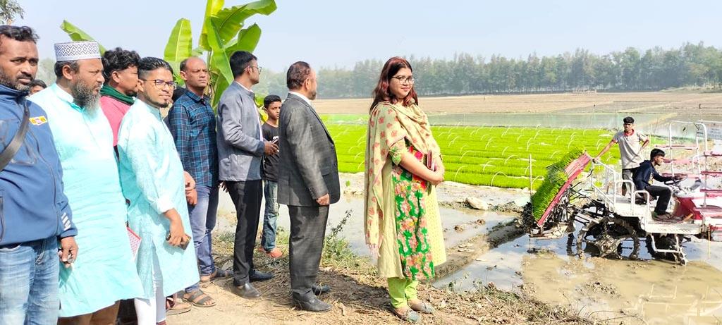 পরশুরামে যন্ত্র দিয়ে ধানের চারা রোপণ