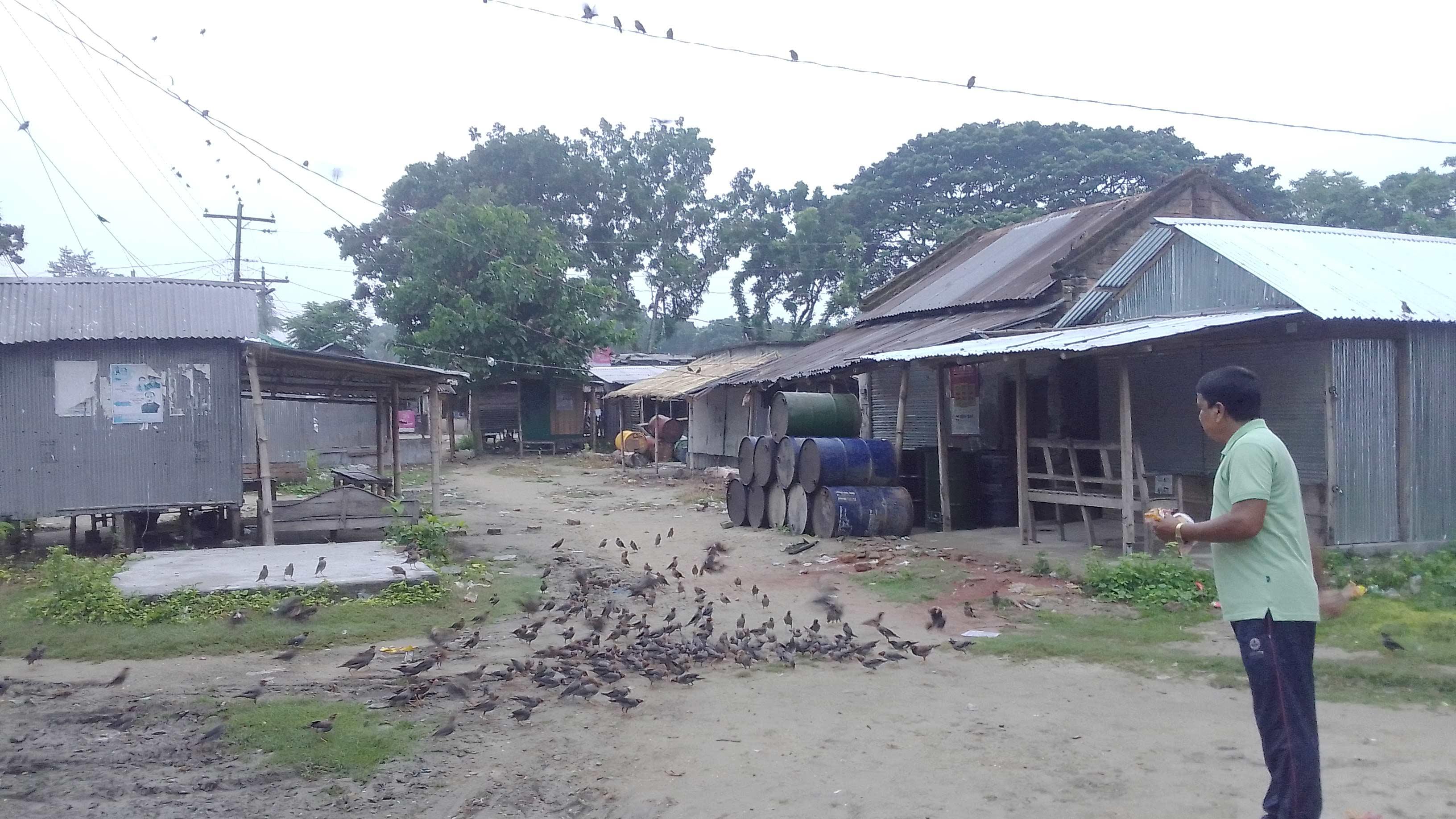 পাখির জন্য এক শিক্ষকের ভালোবাসা