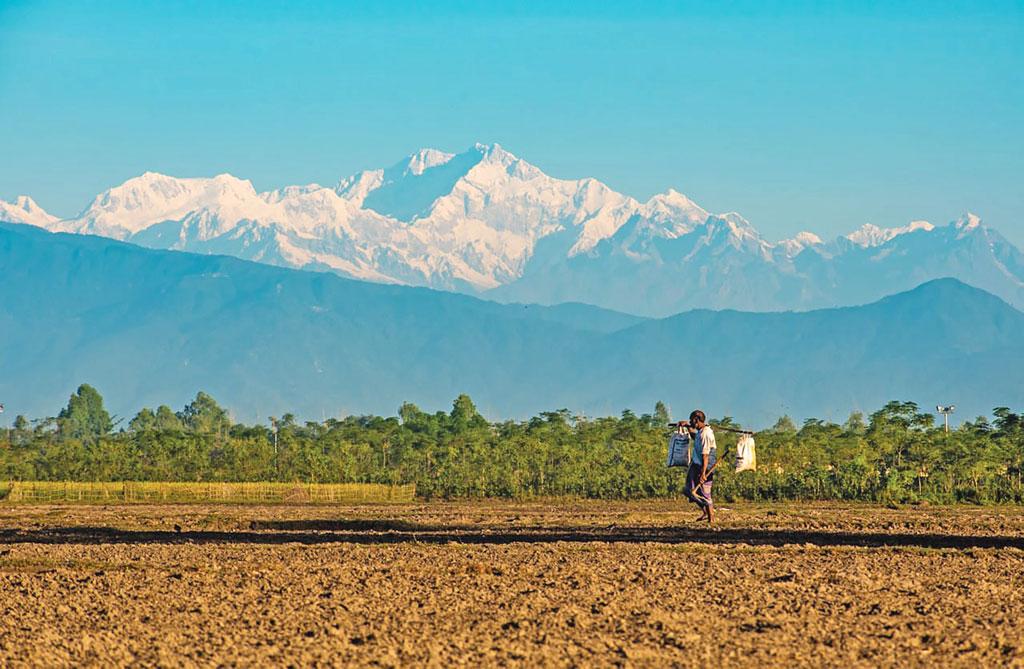 শীতে ডাকছে পঞ্চগড়