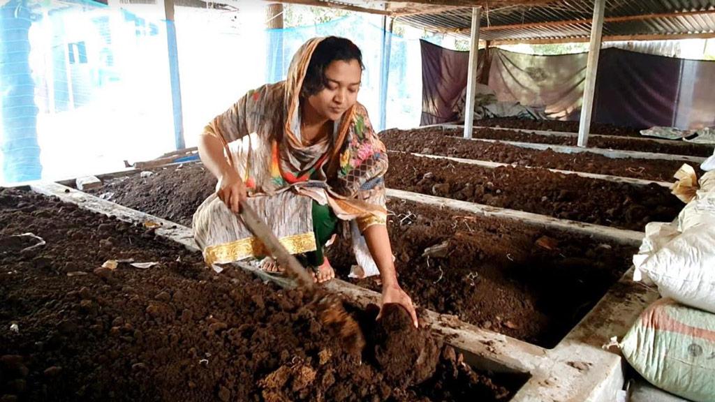 কেঁচো সার এনেছে সচ্ছলতা তানিয়ার সংসারে