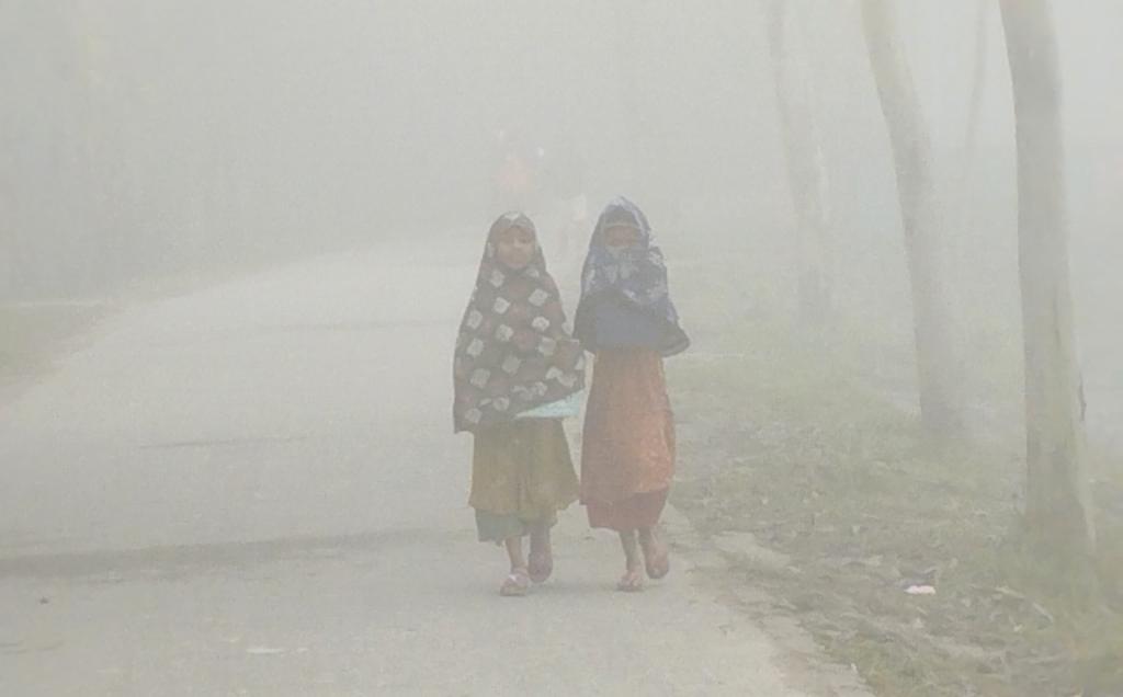 ফুলবাড়ীতে শীত ও কুয়াশায় বিপর্যস্ত জনজীবন