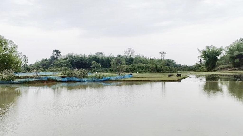 আলীনগর-মুড়ইছড়া সীমান্তে বেড়েছে অনুপ্রবেশ