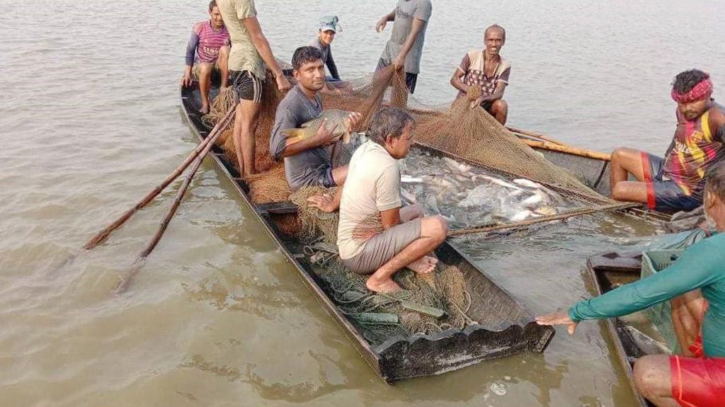 বাগদা বিলের রুপালি সোনা