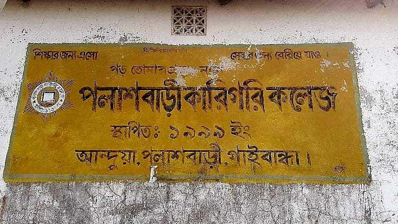 কলেজ মাঠ লিজ, ধান চাষ