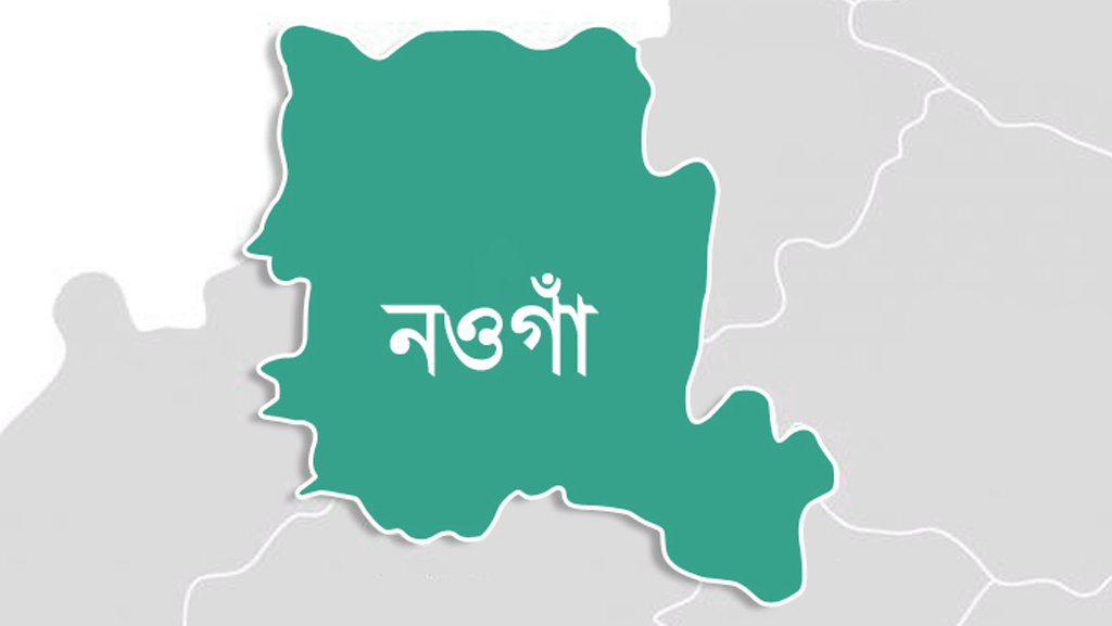 নওগাঁয় তালের চারা রোপণ কার্যক্রম উদ্বোধন