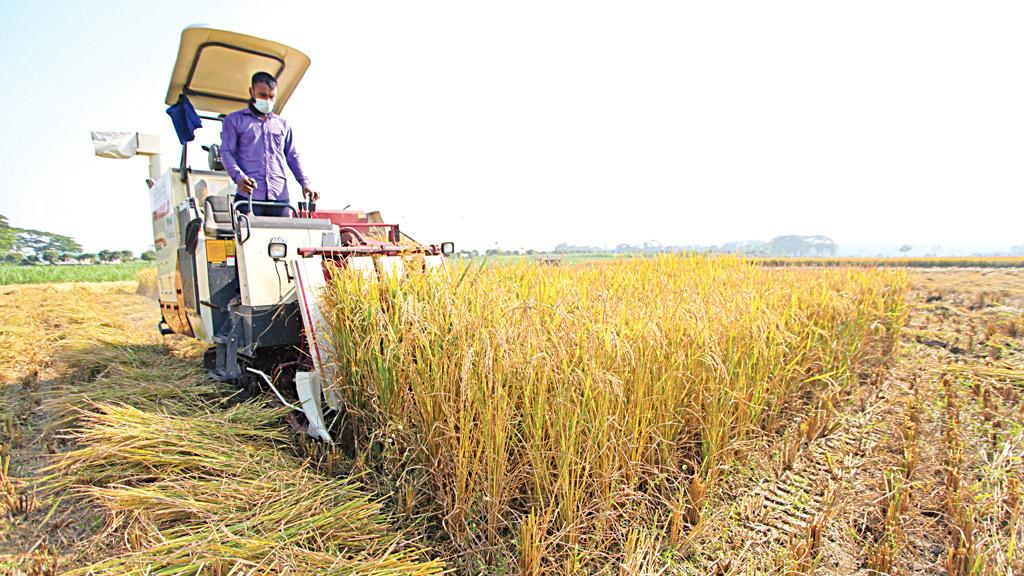 সুষ্ঠু নির্বাচন বনাম খাদ্য ও জ্বালানির দাম