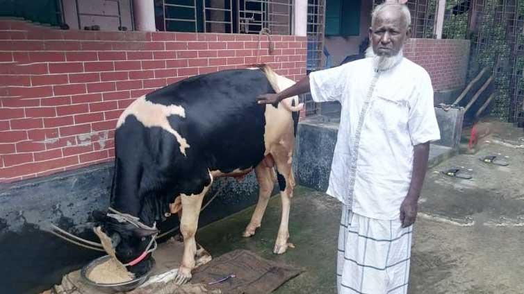 এক যুগ ধরে শেখ হাসিনার নামে কোরবানি দিচ্ছেন জাবেদ আলী