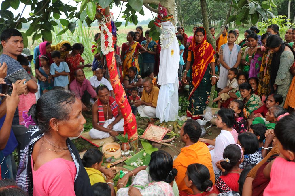 স্বপ্নের আদেশ পূরণে ঢাকঢোল বাজিয়ে বট ও পাকুড়গাছের বিয়ে