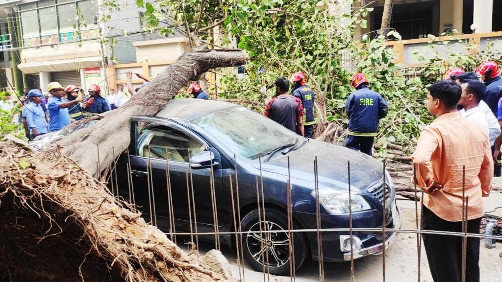 রাজধানীতে চলন্ত গাড়ির ওপর ভেঙে পড়ল গাছ