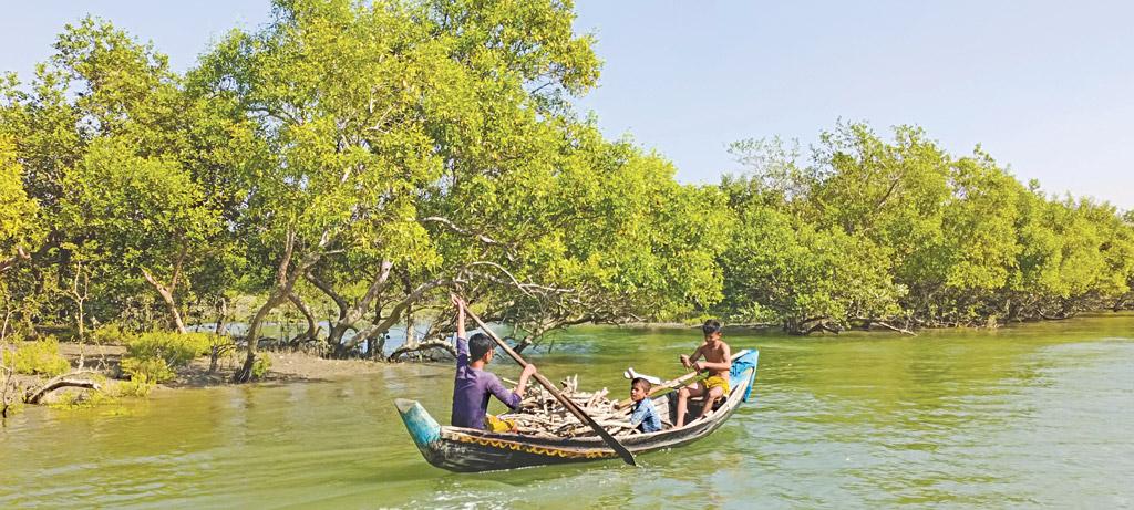 একসঙ্গে সৈকত ও বনের স্বাদ