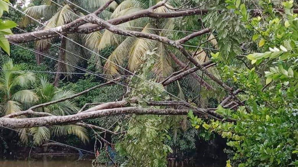 হবিগঞ্জে অন্ধকারে ৩ লাখ গ্রাহক