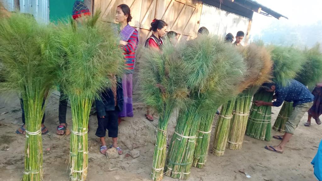 শীতে ঝাড়ুফুলে বাড়তি আয়