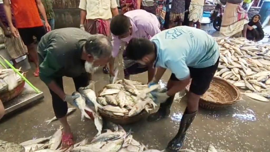 প্রশাসনের ওপর হামলা, ইলিশ রক্ষায় বড় চ্যালেঞ্জ