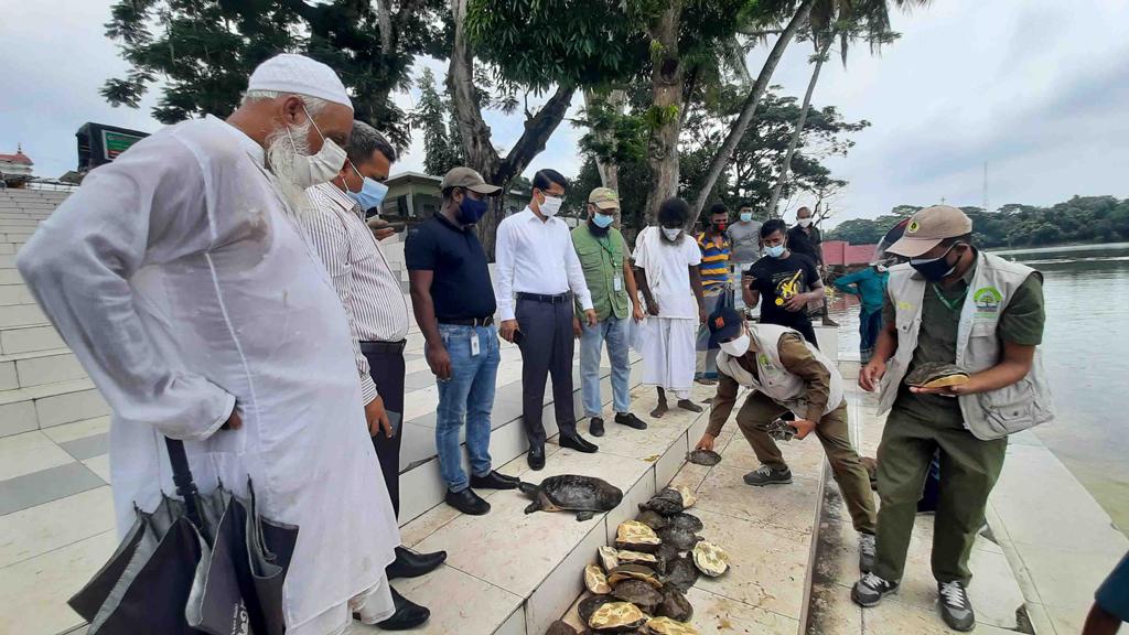 মোংলায় ৭৩টি সুন্দি কচ্ছপ উদ্ধার, খান জাহানের দিঘিতে অবমুক্ত