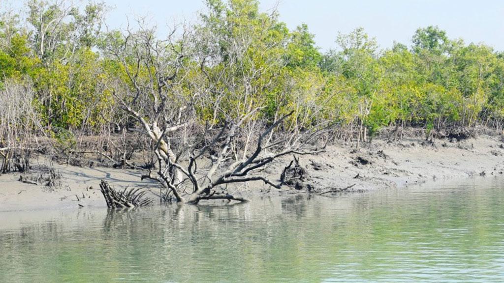 সুন্দরবনে সুপেয় পানি সরবরাহের নির্দেশ