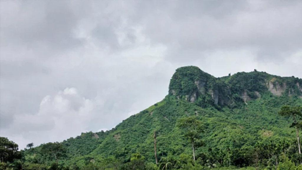 টেকনাফের পাহাড়ে অপহৃত ৫ কৃষকের চারজন উদ্ধার