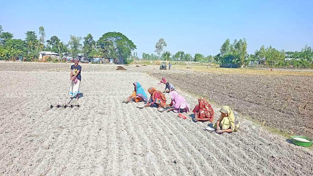 কদর বাড়ছে নারী শ্রমিকের