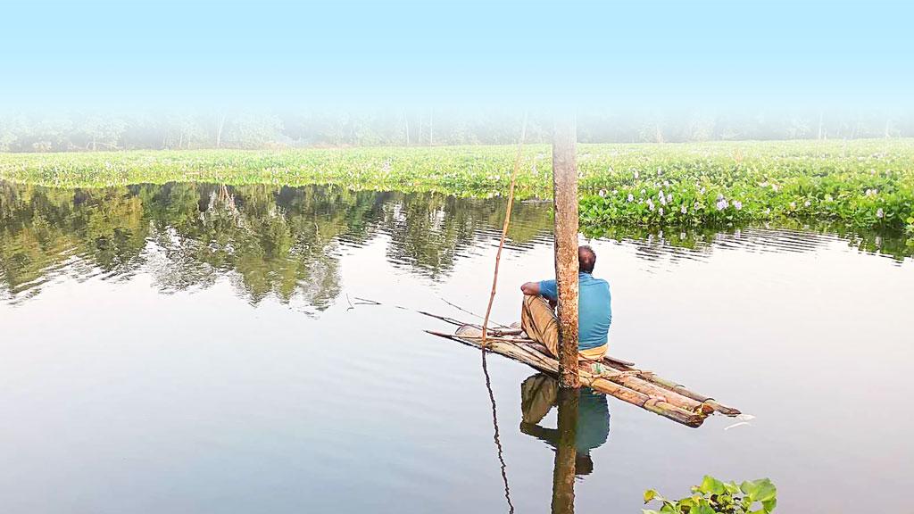 নদীকে বিল দেখিয়ে ইজারা, ক্ষতিগ্রস্ত অভয়াশ্রম