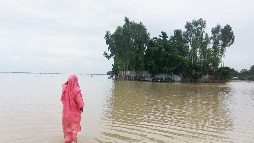 কুড়িগ্রামে ৫৬ হাজার মানুষ পানিবন্দী, ত্রাণ তৎপরতা শুরু