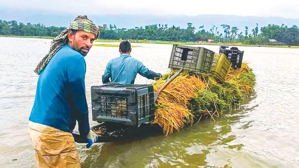 পুবের দিকে যখন বন্যার শঙ্কা, পশ্চিমে তখন বৃষ্টির অপেক্ষা