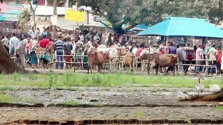 বেহাল হাটে কমছে বেচাকেনা