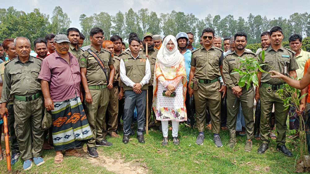 বিরলে বন বিভাগের ৩০ একর জমি উদ্ধার, চারা রোপণ