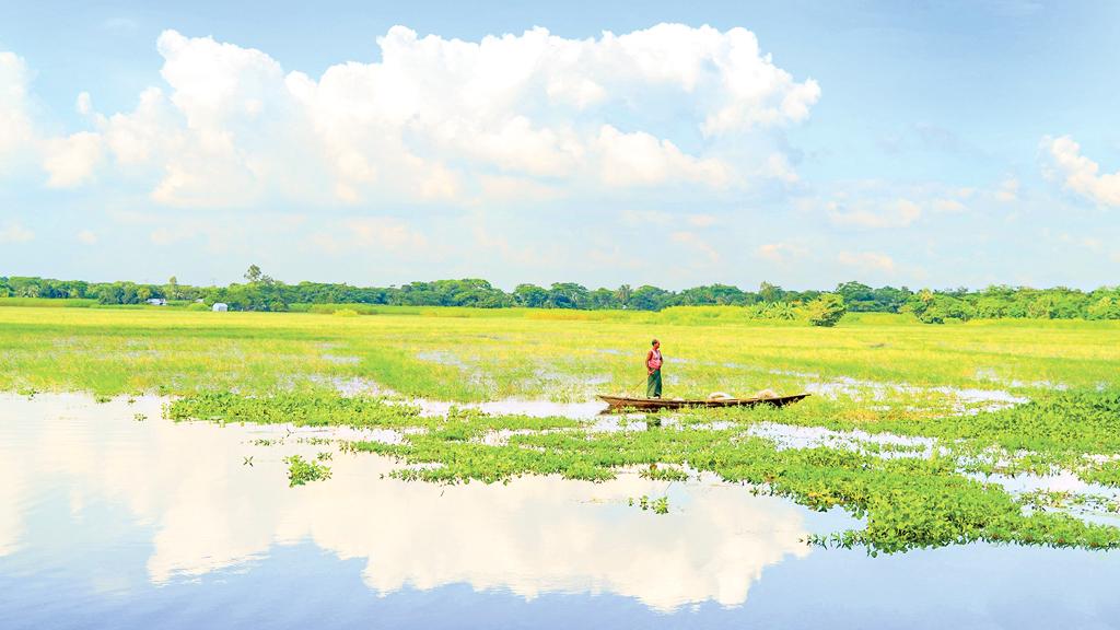 আড়িয়ল বিল রক্ষা করুন