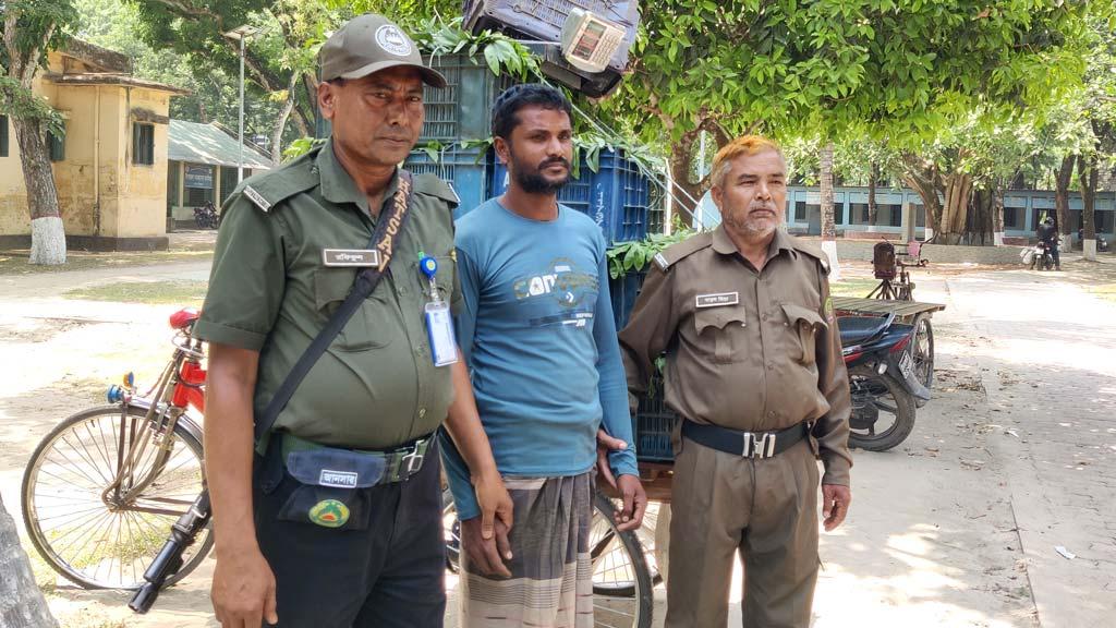 গাছের ডাল কাটায় ভ্যানচালককে ৭ দিনের জেল দিলেন ম্যাজিস্ট্রেট 