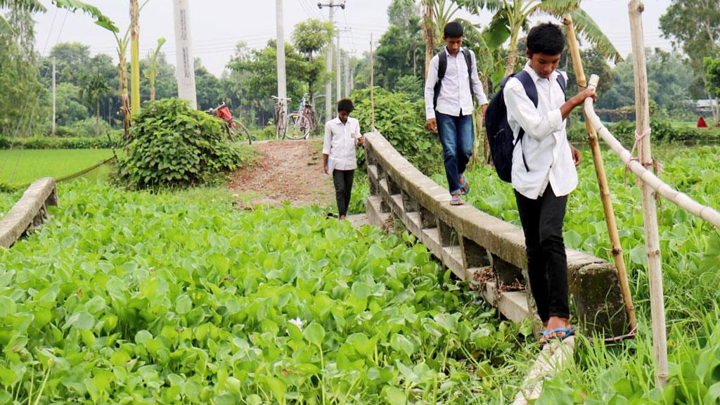 পানির নিচে সেতু, সাঁকো বানিয়ে চলছে পারাপার