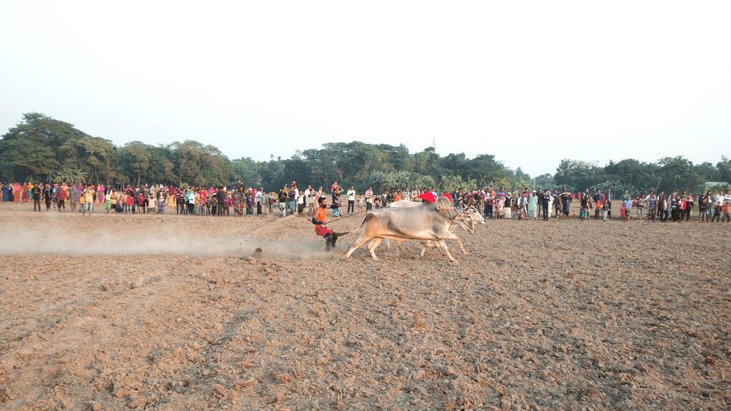 হাল দৌড় দেখতে ভিড় হাজারো মানুষের