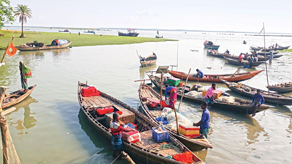 বৃষ্টির অভাবে ইলিশ কম, প্রজনন-উৎপাদনে শঙ্কা