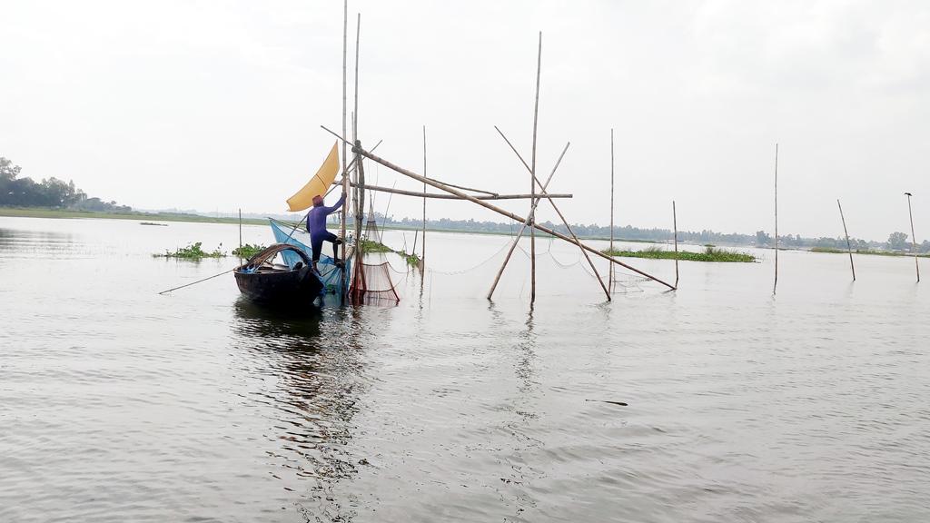 চলনবিলে মাছ ধরতে টাকা দিতে হয় জেলেদের