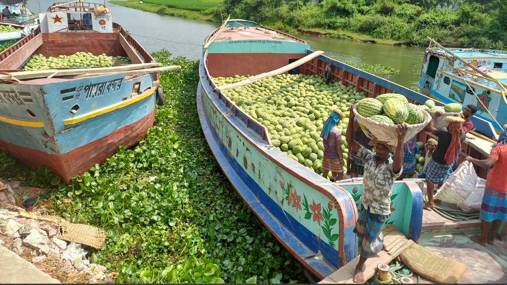 তরমুজের দাম চড়া হাজীগঞ্জে