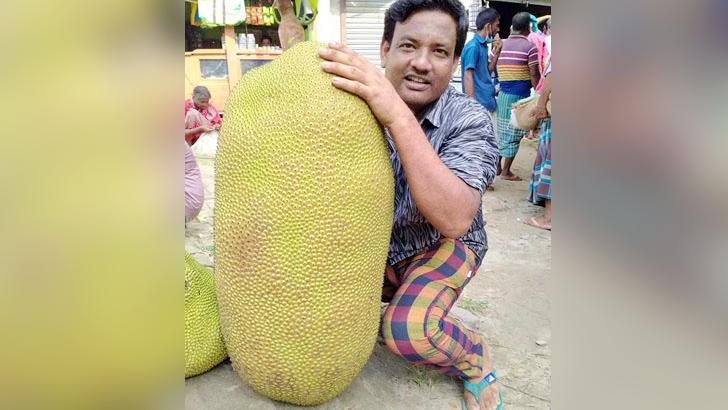 জাতীয় ফল কাঁঠালের এই মর্যাদাহানি কেন?