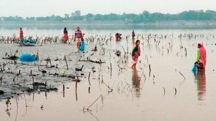 কাঠ কুড়ানো সকালের অপেক্ষা