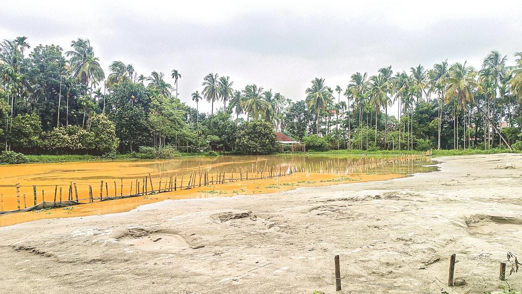 শতবর্ষী সরকারি পুকুর ভরাট উদ্যানতত্ত্ববিদের