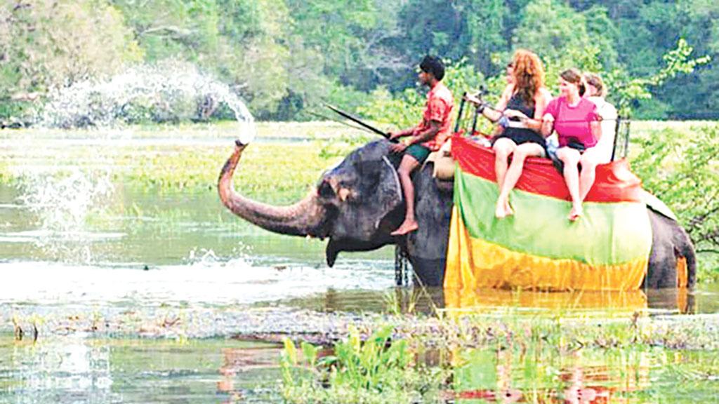 যেভাবে ঘুরে দাঁড়াল শ্রীলঙ্কা