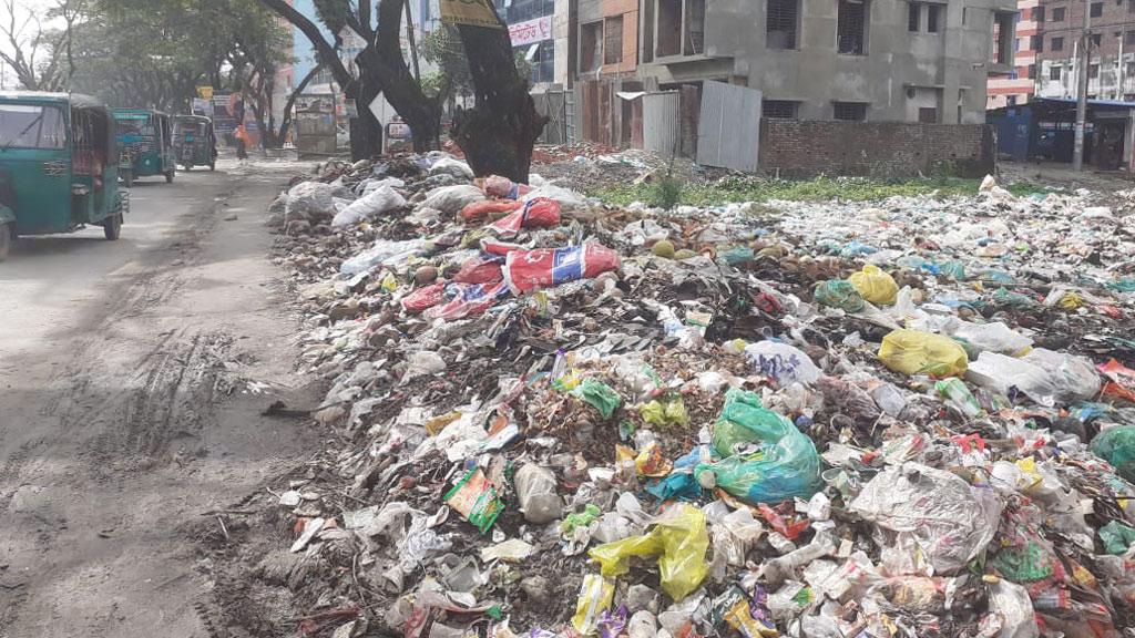 সড়কের পাশে ময়লার স্তূপ, দুর্ভোগে পথচারী