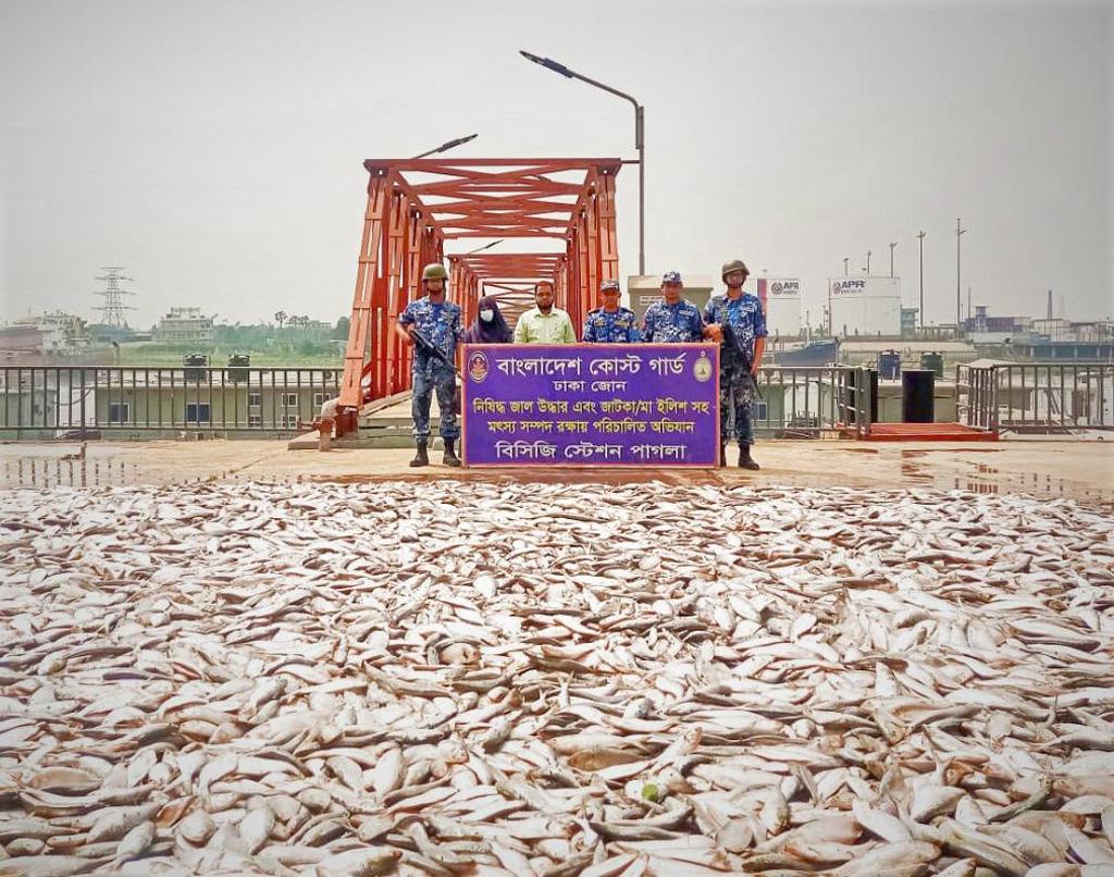 নারায়ণগঞ্জে ৩০০ মণ জাটকা জব্দ