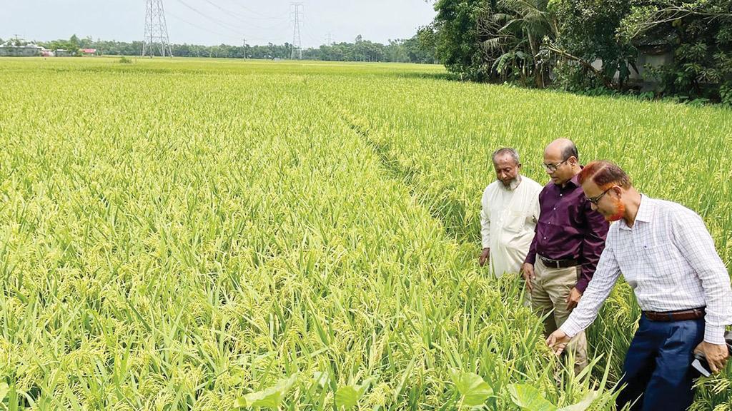 গুদামে দিতে অনাগ্রহী কৃষক