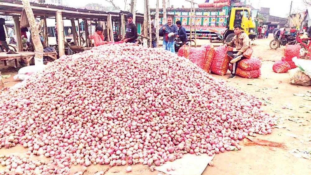 পেঁয়াজ চাষের খরচও ওঠেনি