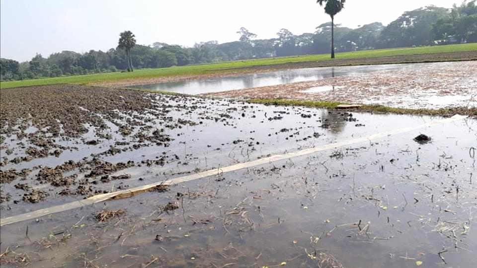 ঘূর্ণিঝড় জাওয়াদ: শিবচরে প্রায় ৪ হাজার হেক্টর জমির ফসল নষ্ট