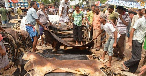 কোরবানির পরে লকডাউনে ট্যানারি চালু রাখতে চায় মালিকেরা 