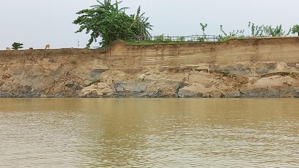 ভাঙছে ব্রহ্মপুত্র, কাঁদছেন কৃষক