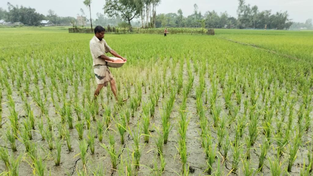 সারে খরচ বাড়বে ১৮ কোটি টাকা