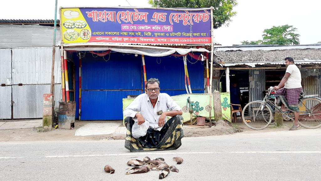 খাবারে বিষ দিয়ে ২ শতাধিক ভাত-শালিক মারলেন হোটেল মালিক