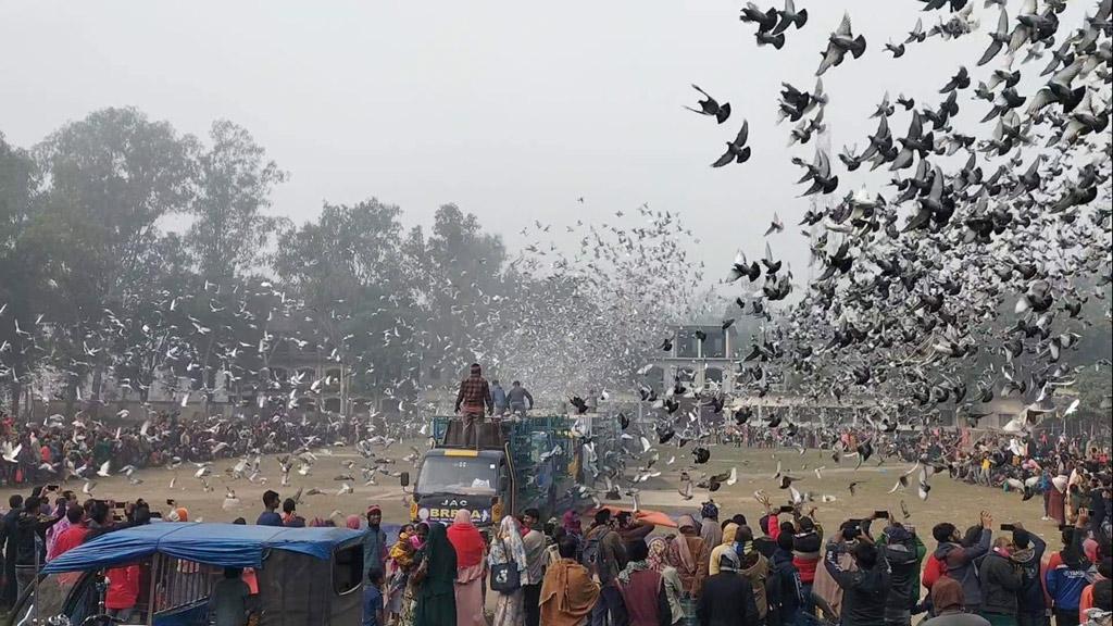 ট্রাক থেকে উড়াল দিল ১০ হাজার কবুতর, মুগ্ধ হয়ে দেখল বগুড়াবাসী