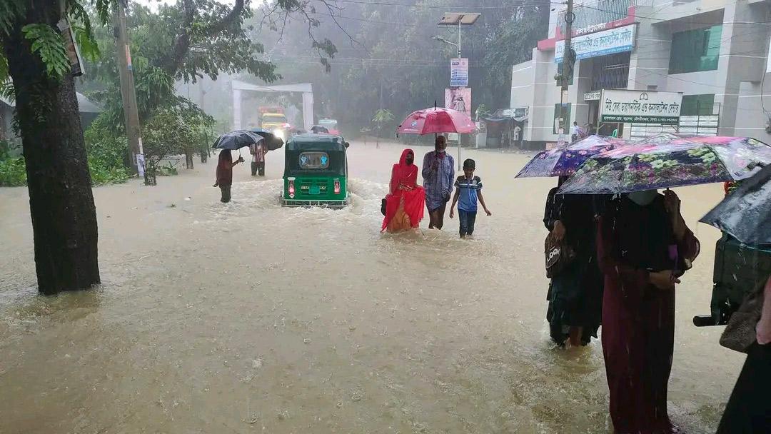 হাওরের পানিতে প্লাবিত বড়লেখা, শিশুসহ ২ জনের মৃত্যু