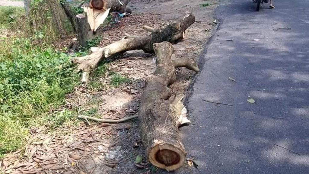 রাঙ্গুনিয়ায় গাছের গুঁড়ি ফেলে সড়কে ব্যারিকেড, ট্রাক ও মোটরসাইকেলে আগুন 